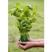 Élelmiszeripari megoldások